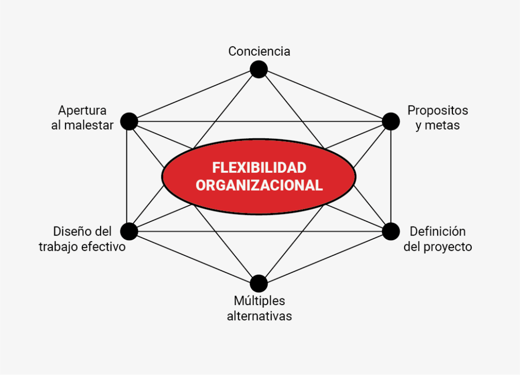 Flexibilidad organizacional